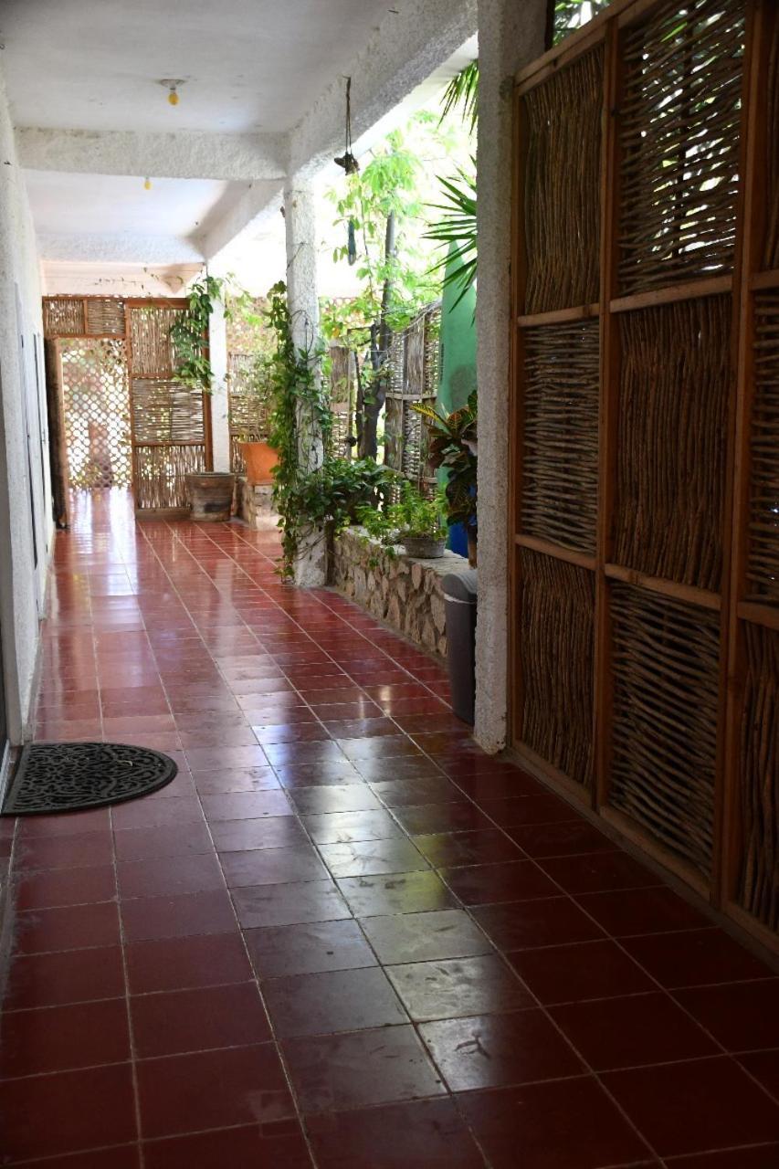 La Playita Hostal San José del Cabo エクステリア 写真